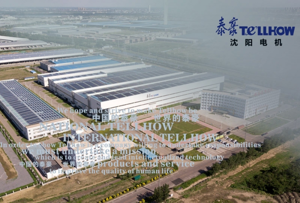 GOGO体育沈电综合样本